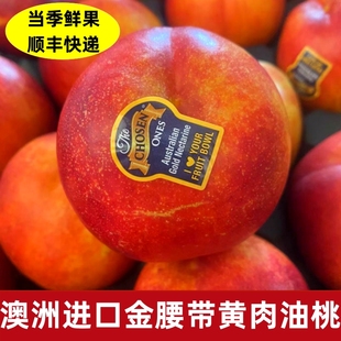 澳洲进口黄肉油桃新鲜金腰带黄金桃当季新鲜桃子水果2斤顺丰
