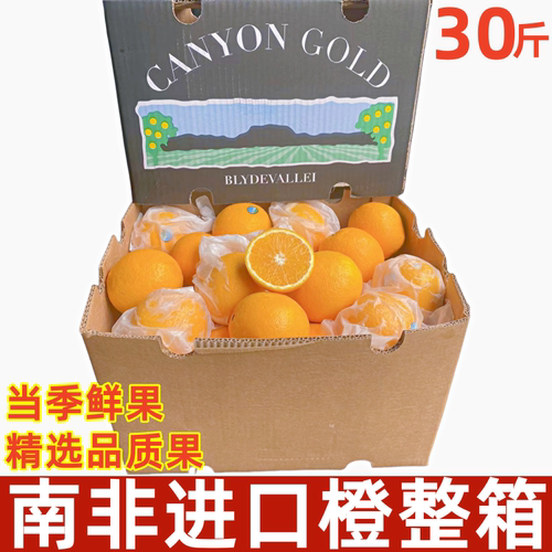 0-87斤南非香甜橙子好吃