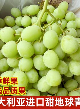 澳洲进口甜地球青提无籽提当季时令新鲜水果提子2斤装顺丰快递