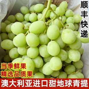 澳洲进口甜地球青提无籽提当季时令新鲜水果提子2斤装顺丰快递