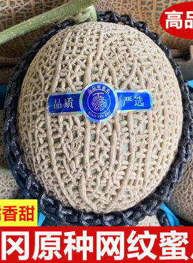 静冈瓜脆甜多汁哈密瓜