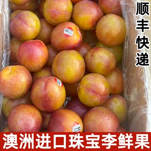 澳洲进口珠宝李李当季新鲜水果黄肉李子布林恐龙蛋皇后李顺丰快递