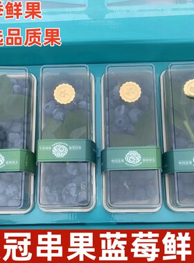 枝冠蓝莓新鲜水果好吃