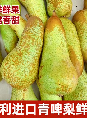 智利啤梨进口啤梨大果4斤软糯香甜青啤梨当季新鲜水果顺丰快递