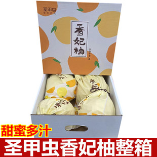 圣甲虫香妃柚原箱礼盒4颗大果新鲜水果大柚子果香肉嫩多汁 包邮
