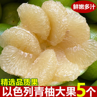 以色列品种青柚蜜柚青柚子当季时令新鲜水果柚子甜柚葡萄柚6个
