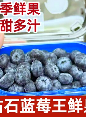 当季限量super jumbo超大蓝莓王大果时令新鲜水果脆甜多汁顺丰