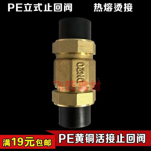 4分20 6分25 1寸32PE立式止回阀铜逆止阀单向阀PE自来水管件配件