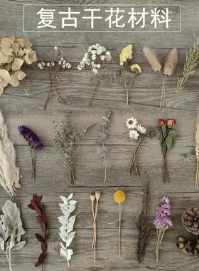 【复古风干花材料】短枝真植物标本相框贺卡花环胸花装饰diy手作