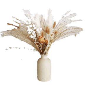 干花真花风干天然网红芦苇木棉花束轻奢高档客厅装饰摆设ins摆件