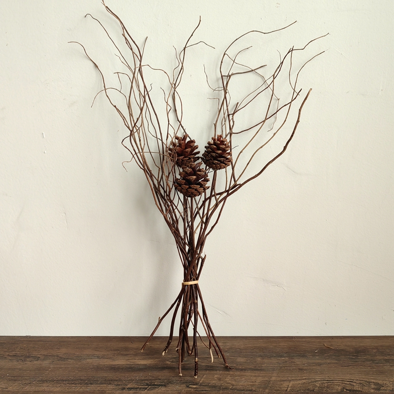 月洁侘寂风树枝松果干花花束