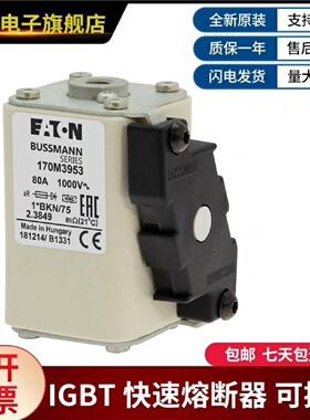 议价美国伊顿巴斯曼熔断器  170M3958  170M3959  170M3960  170M