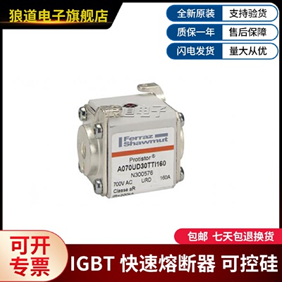 议价法国Ferraz罗兰熔断器A070UD30TTI160 N300576 690V 160A