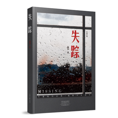 【官方直营】失踪 廉声 著 《大宋提刑官》编剧新悬疑刑侦作品 河南文艺出版社旗舰店正版