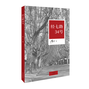 经七路34号 南丁  著 河南文艺出版社