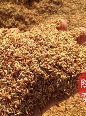 手搓凉粉薜荔果籽庐山木莲豆腐