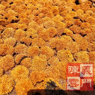 666g庐山特产薜荔果籽 野生手搓凉粉冰 爱玉籽冻 木莲豆腐 农产品