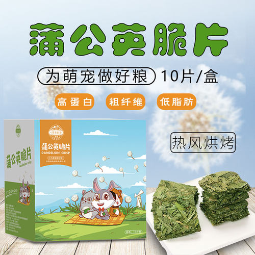 洁西jessie蒲公英片装天竺鼠