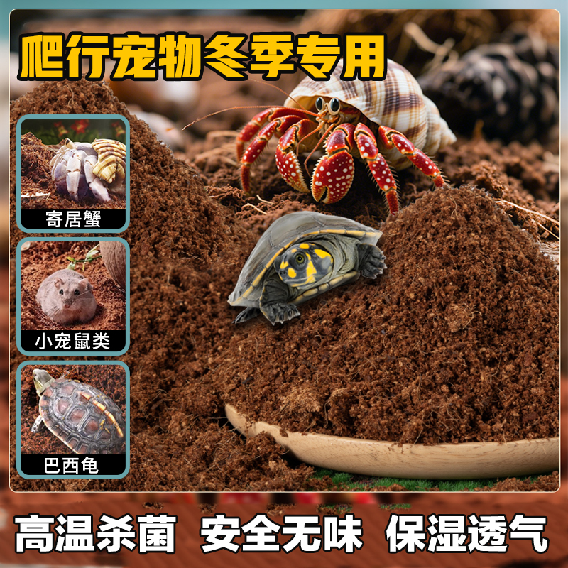 乌龟冬眠寄居蟹湿椰土青苔藓