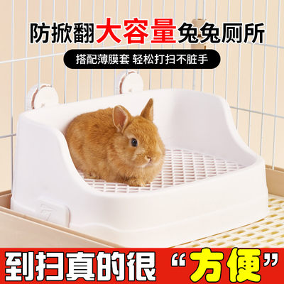 洁西分体式兔子厕所打扫简单方便