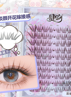 [彩虹糖]高智女团开花嫁接睫！自然淡颜清透狐系根根分明气质睫