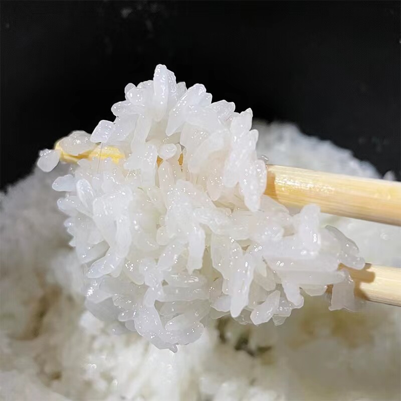 新米云南特产遮放贡米小毕郎软99