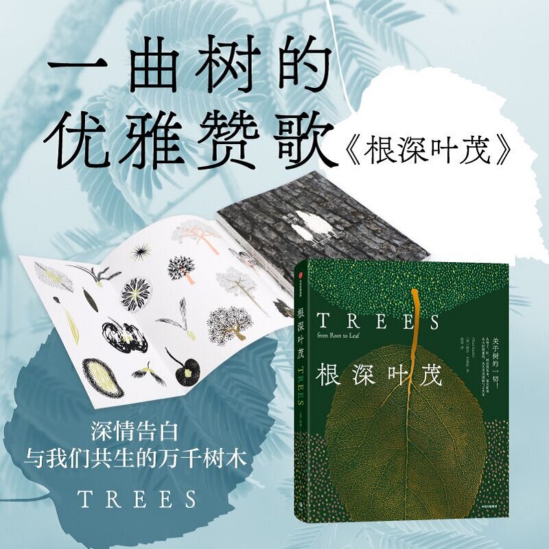 根深叶茂 保罗史密斯著 关于树的一切 从种子 叶 树皮到花朵 果实和根 从木材到建筑 从艺术灵感到与之共生 官方正版 中信出版社
