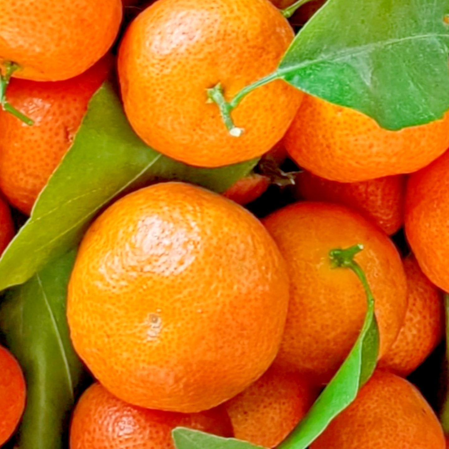 品选新鲜砂糖橘蜜桔鲜甜汁多