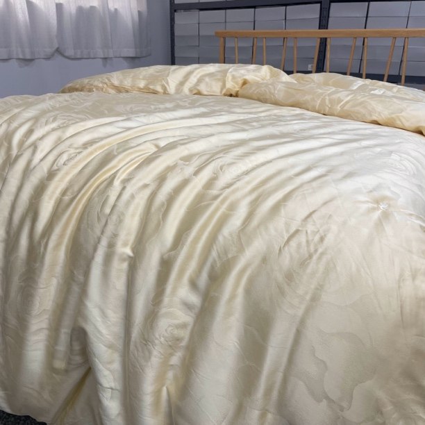 【天然有机冬被】重磅出口意大利 有机蚕丝 野生A类蚕丝被,居家日用,居家日用套装,淘宝优惠券,粉丝福利购,淘宝优惠卷