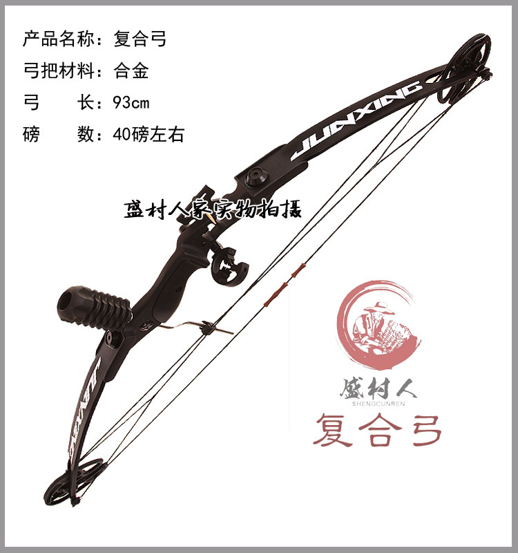 传统弓复合弓竞技反曲射击比赛景区箭馆专业初学弓箭左右手版运动 - 实物图