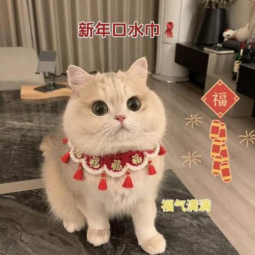 猫咪新年项圈过年喜庆春节宠物福字围巾新年围脖猫狗衣服小猫围兜