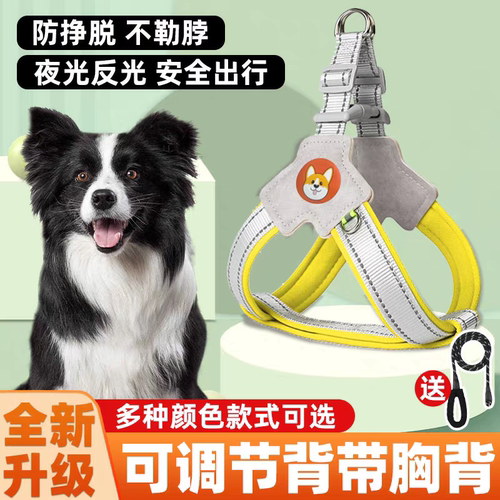 狗狗牵引绳胸背带背心式宠物遛狗绳中小型柴犬柯基比熊泰迪狗链子