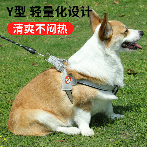 新款狗狗牵引绳胸背带背心式宠物遛狗绳中小型犬柴犬法斗柯基脖圈