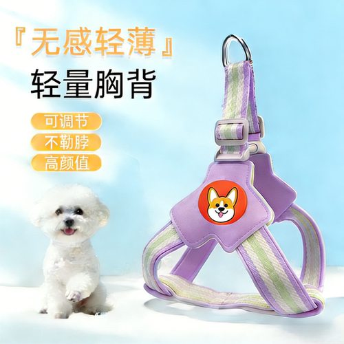 狗狗牵引绳胸背带背心式中小型犬泰迪柯基比熊遛狗绳牵狗绳狗链子