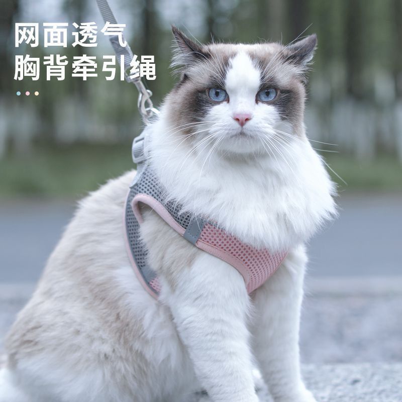 夏季猫咪牵引绳加长防挣脱外出专用背心式背带遛猫可调节透气胸背