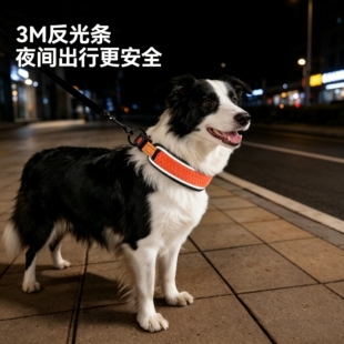 狗狗护颈项圈边牧狗链宠物脖套加宽防勒脖外出遛狗中小型犬牵引绳