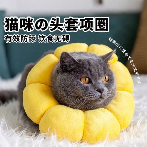 【猫咪项圈】伊丽莎白圈太阳花防舔咬软头套伊莉伊利沙白脖圈用品