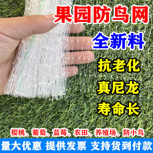 【淘宝推荐】果园防鸟网真尼龙网