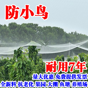【淘宝推荐】果园防鸟网真尼龙网