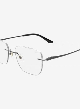 巴苏时尚眼镜P1024M锋系列悠逸时光 气质男款眼镜