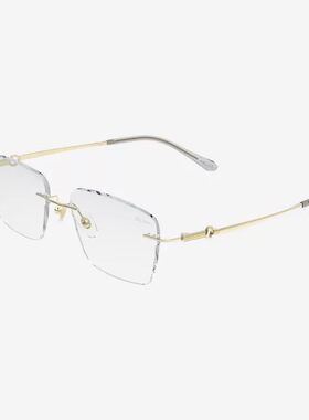 巴苏时尚眼镜P10202M锋系列惊鸿映像气质男款眼镜