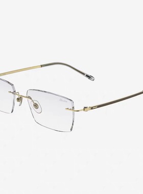 巴苏时尚眼镜P1030M锋系列黑韵沉奢时尚男款眼镜