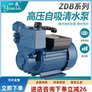 上海新款 一民370W家用增压泵自来铸铁水高压吸水泵井水井自吸泵