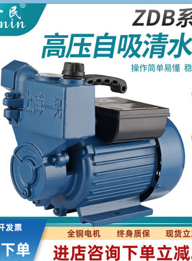 上海新款一民370W家用增压泵自来铸铁水高压吸水泵井水井自吸泵