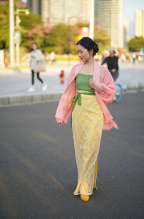 【闭店清仓 咨询八折】落花中●子沫记汉服宋飞机袖衫两片裙通勤