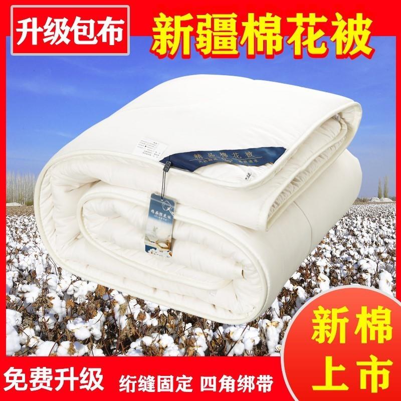 120x200冬被小棉被一米二冬天棉200230被芯背子棉被被子1.8x2米