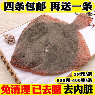 鲜活海鲜水产新鲜多宝鱼冷冻比目鱼海鱼鸦片鱼石斑鱼野生大多宝鱼