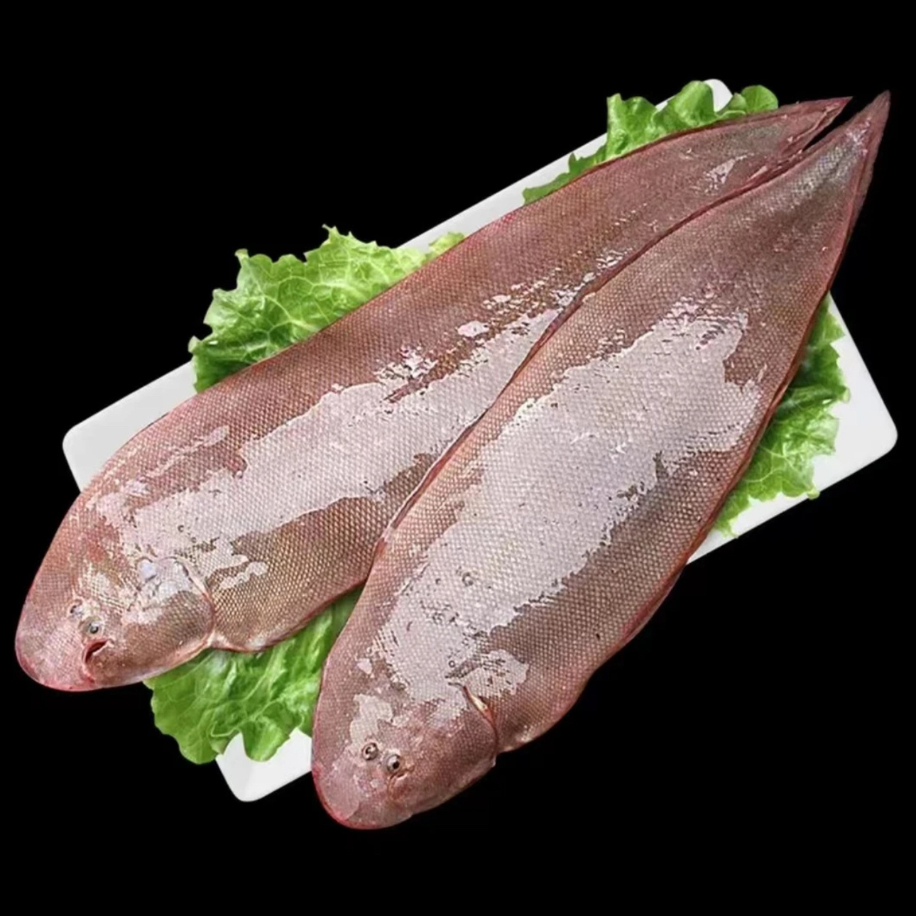 龙利鱼 本地野生舌头鱼 500g/包  一包3条  踏板鱼 香煎红烧