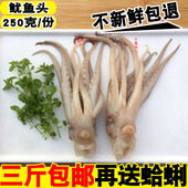 海鲜鱿鱼新鲜鱿鱼须鲜活冷冻鱿鱼头鱿鱼爪鱿鱼足海鲜水产火锅食材