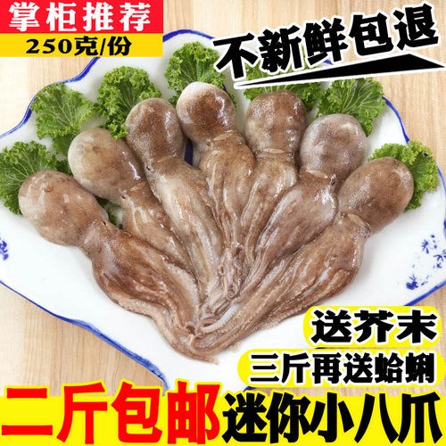 冷冻乌贼八带鱼望潮海鲜水产